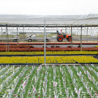 hort image