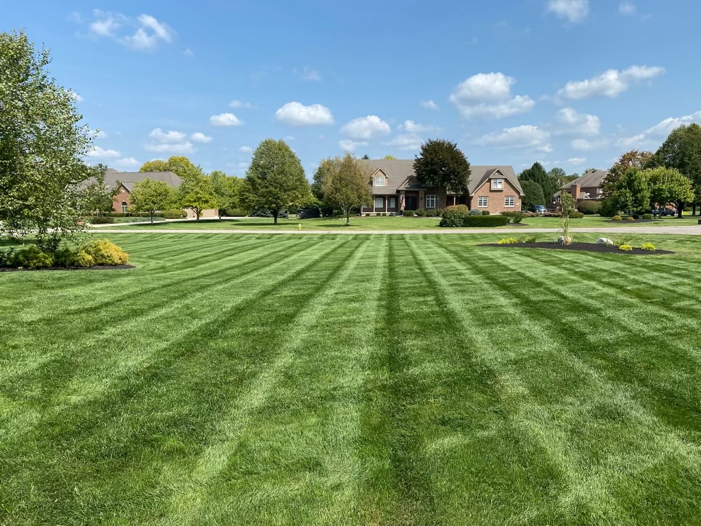 lawn image