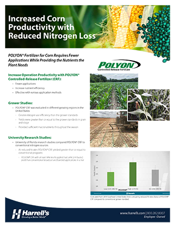 corn pdf