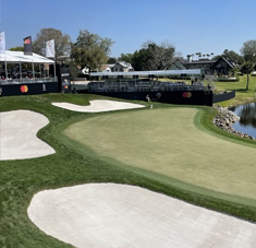 Premium Golf Seed