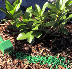 POLYON & Custom-Blended Fertilizer