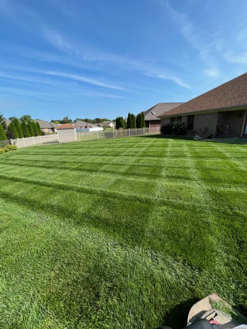 Premium Lawn Seed