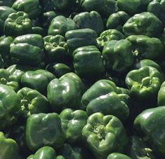 hort image