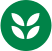 soilIcon